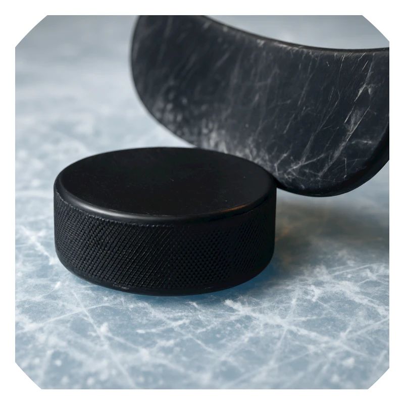 Hockey - Stick and puck