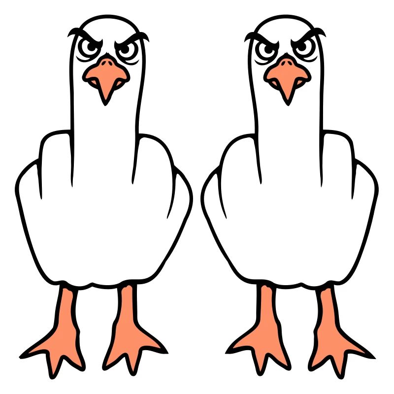 2 Möwen Mittelfinger Beleidigung Stinkefinger Team