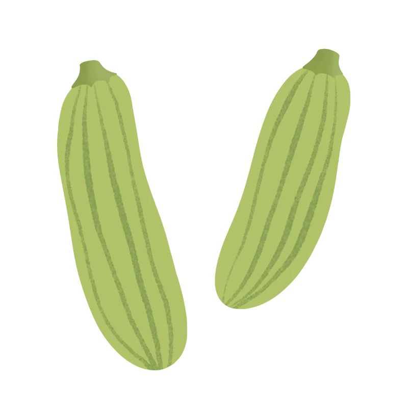 Courgettes rayées