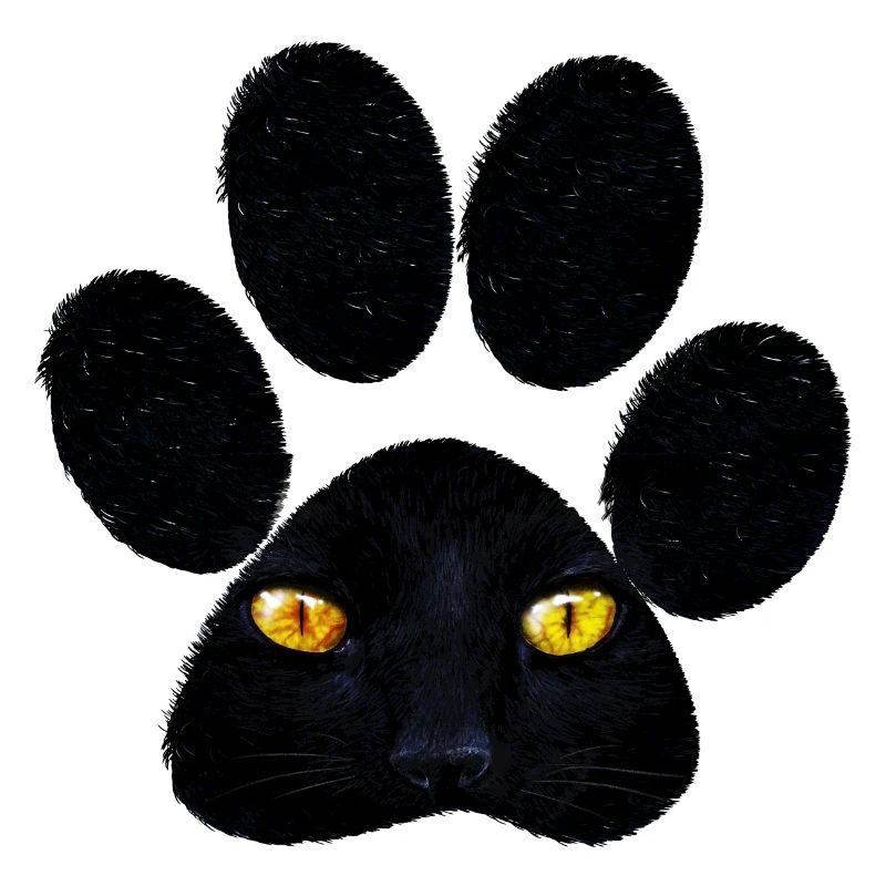 Patte de chat