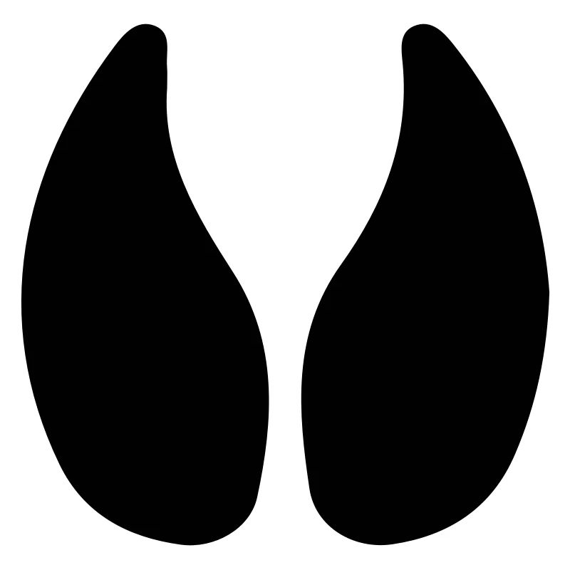 Empreinte de sabot vache étable étable