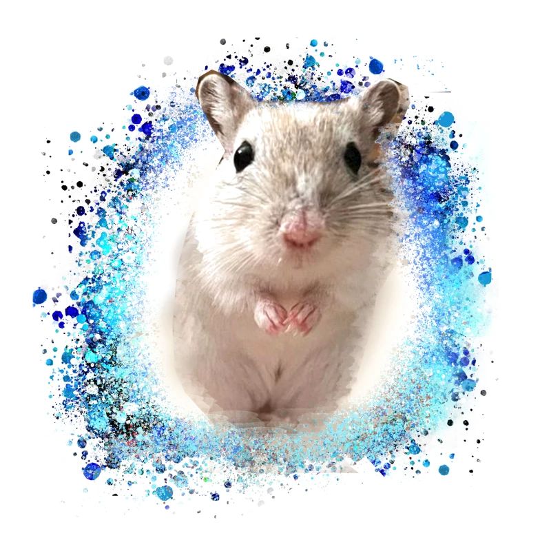 Springmaus,maus,graffiti,malerei,spitzmaus