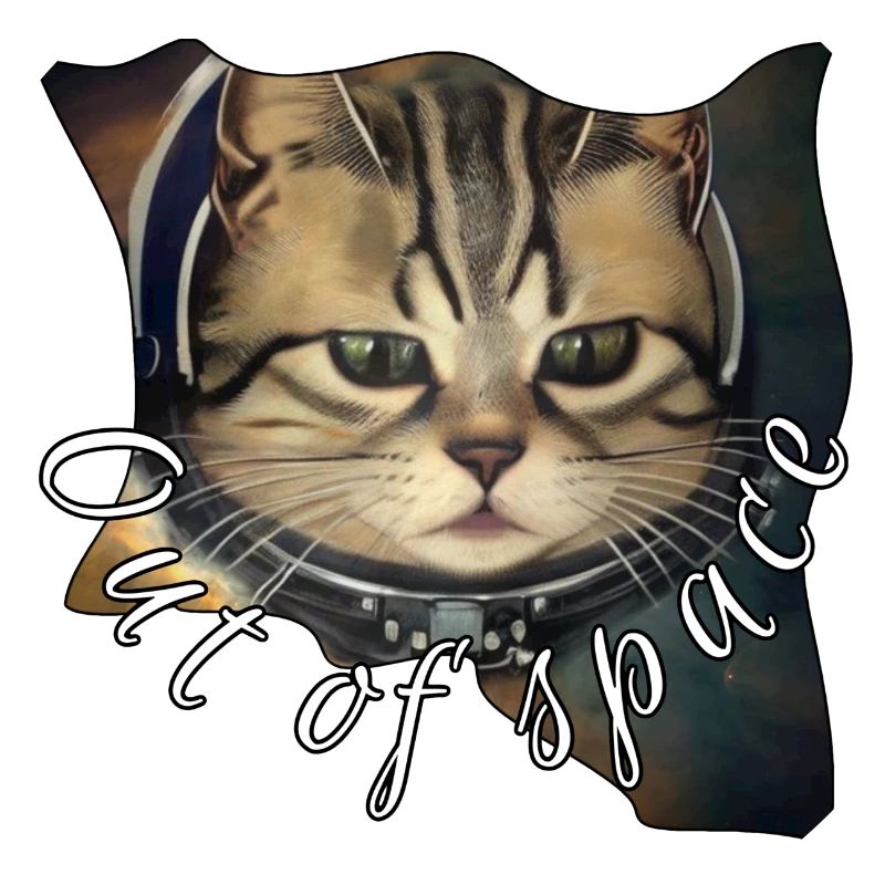 Chat de l’espace