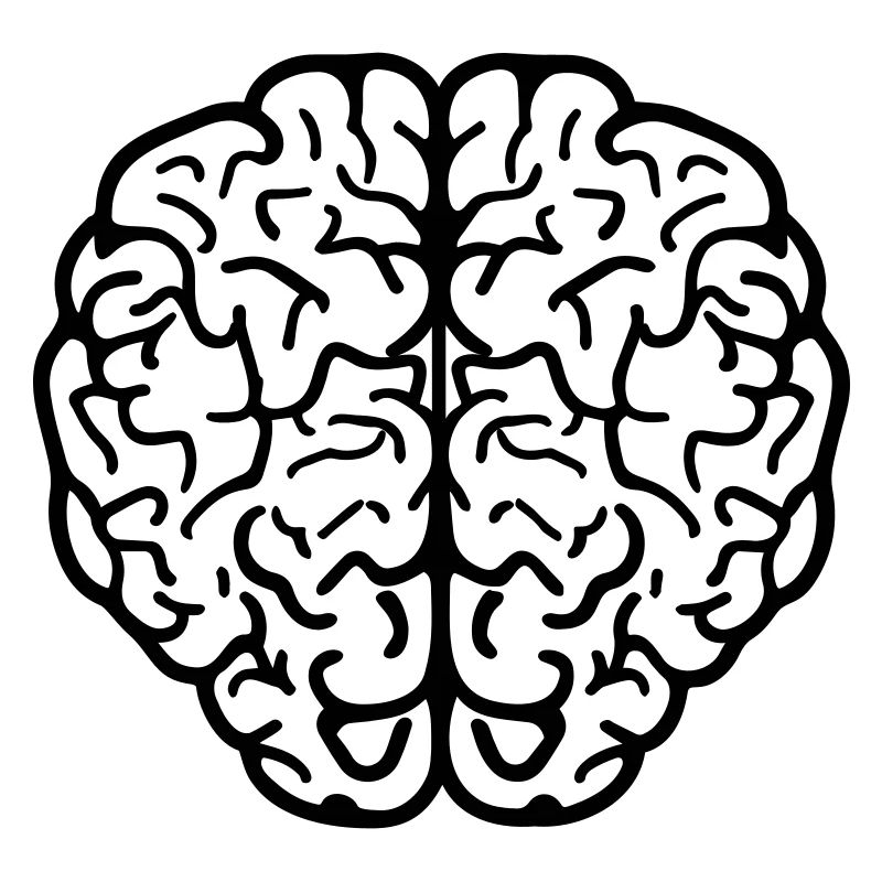 Brain