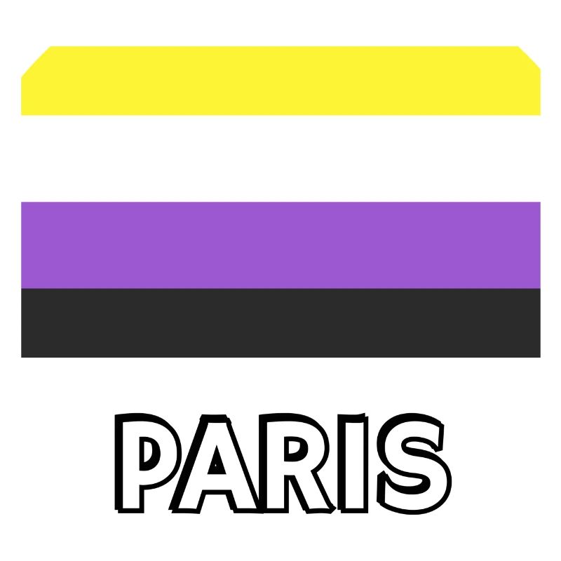 Non binary Pride Flag Paris
