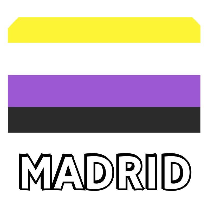 Non binary Pride Flag Madrid