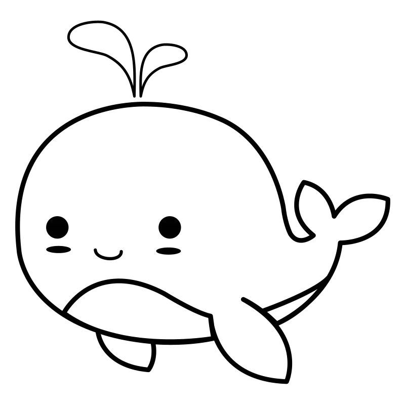 Bébé baleine 01