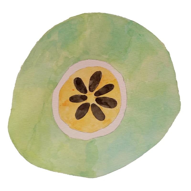 Fruit géant 1