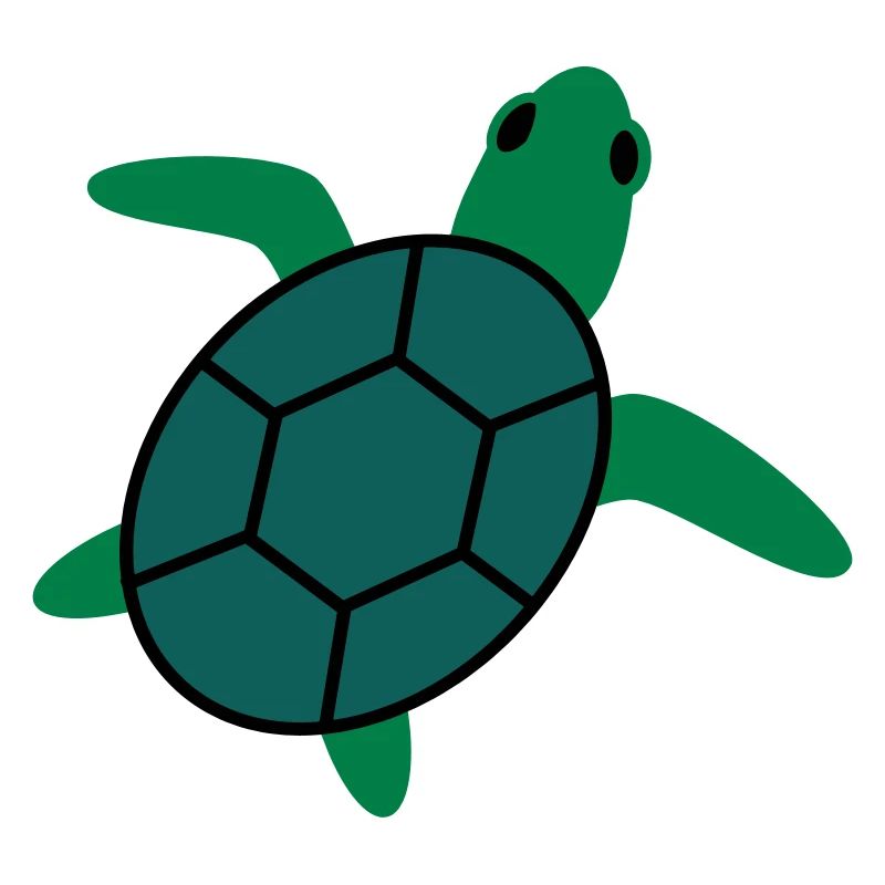 turtle