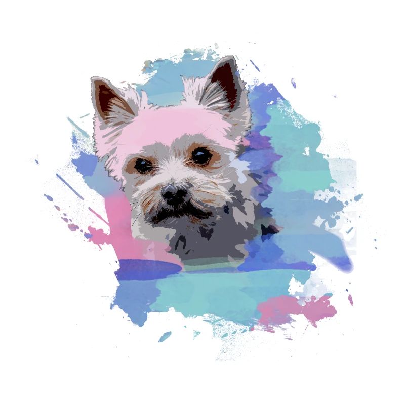 yorkshire terrier, hund, graffiti,terrier, bunt