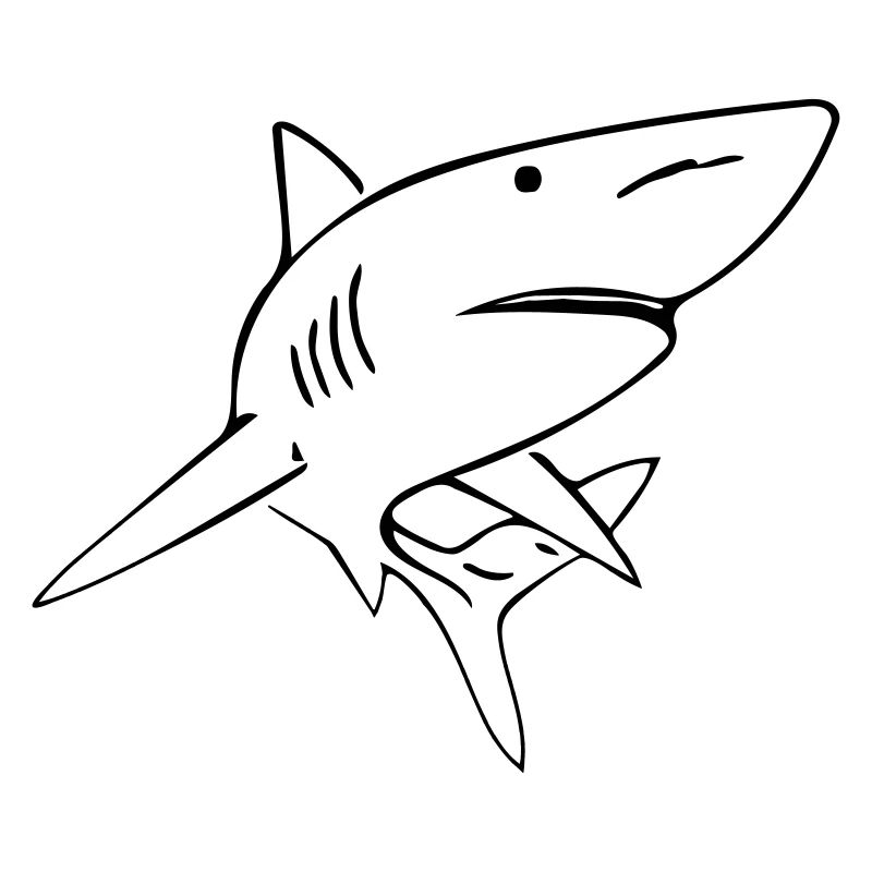 Shark - Vector Design