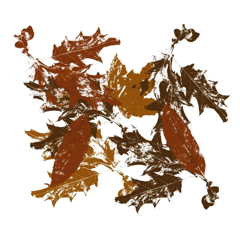 Feuilles