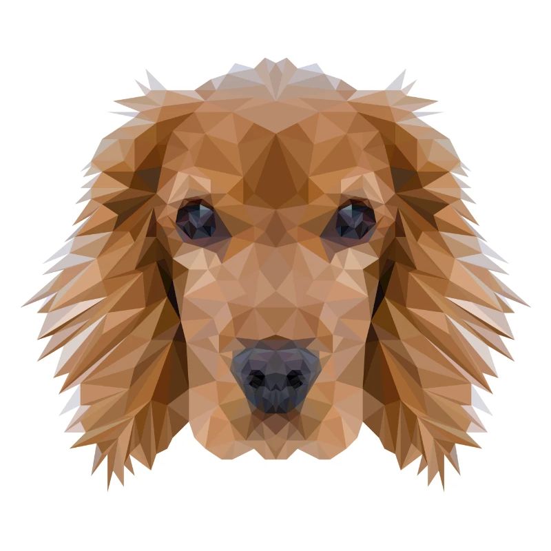 Cocker Spaniel chien Polygon Design
