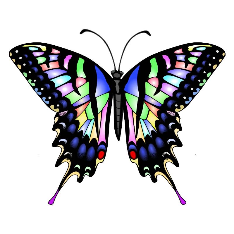 Papillon à queue d’aronde