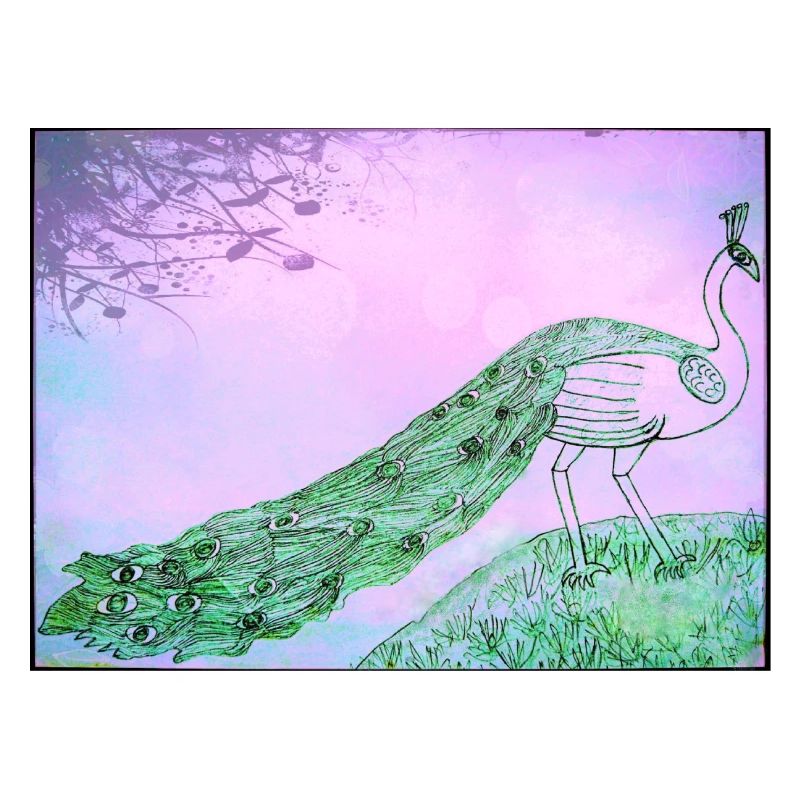 Peacock Majesty on Verdant Grass