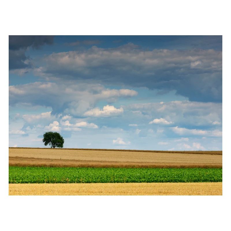 Weitblick