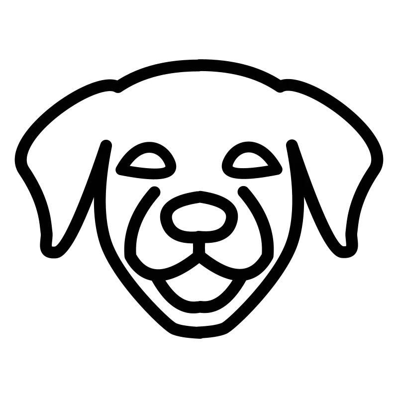Chien