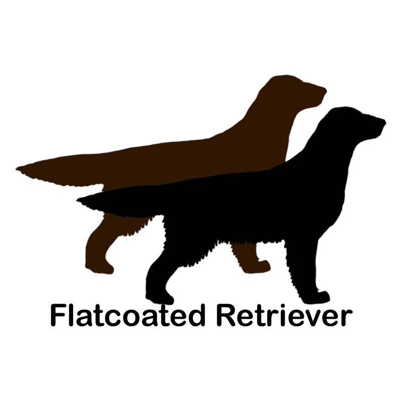 Flatcoated Retriever nero e fegato
