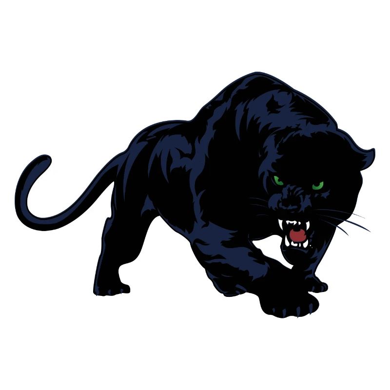 Schwarzer Panther oder Jaguar Wildkatze