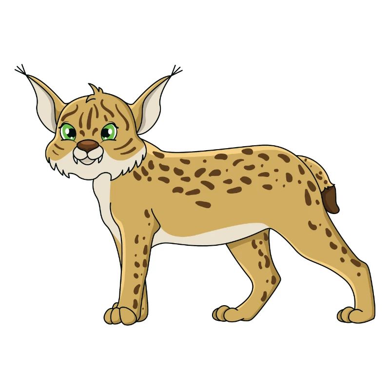 Lynx