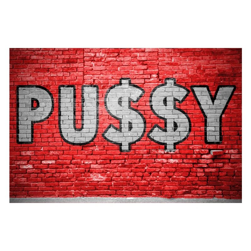 Pussy with Dollar Signs $ Brick Wall Graffit