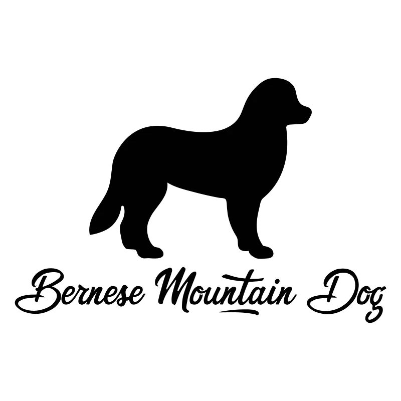 Bouvier bernois