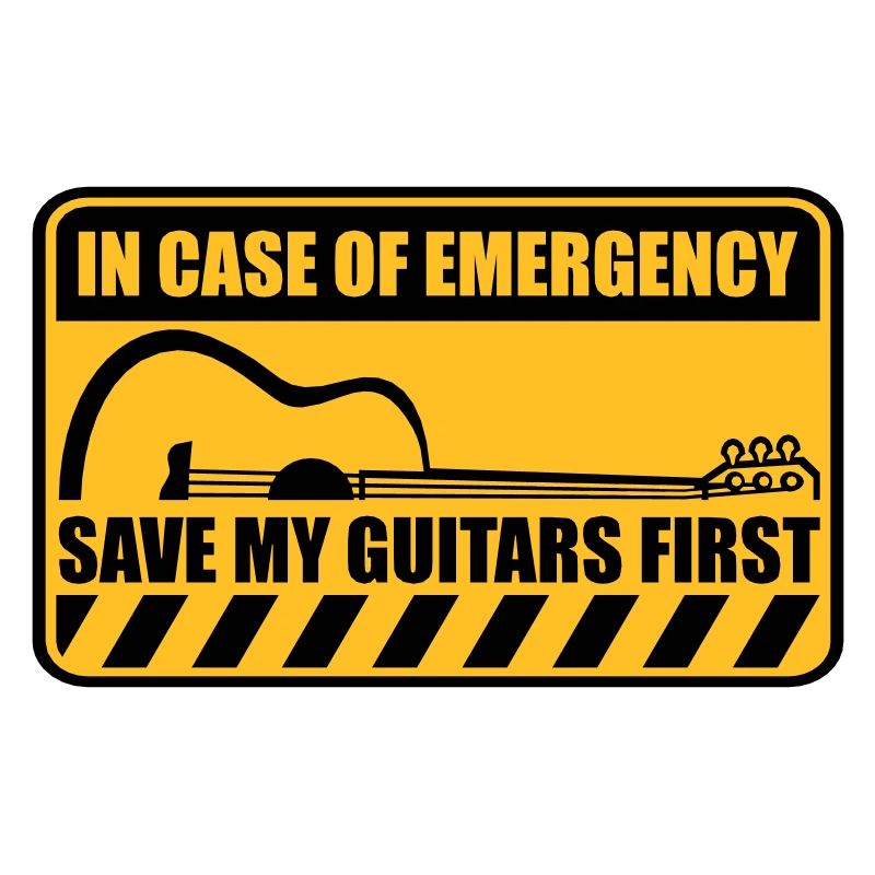 Save My Guitars First