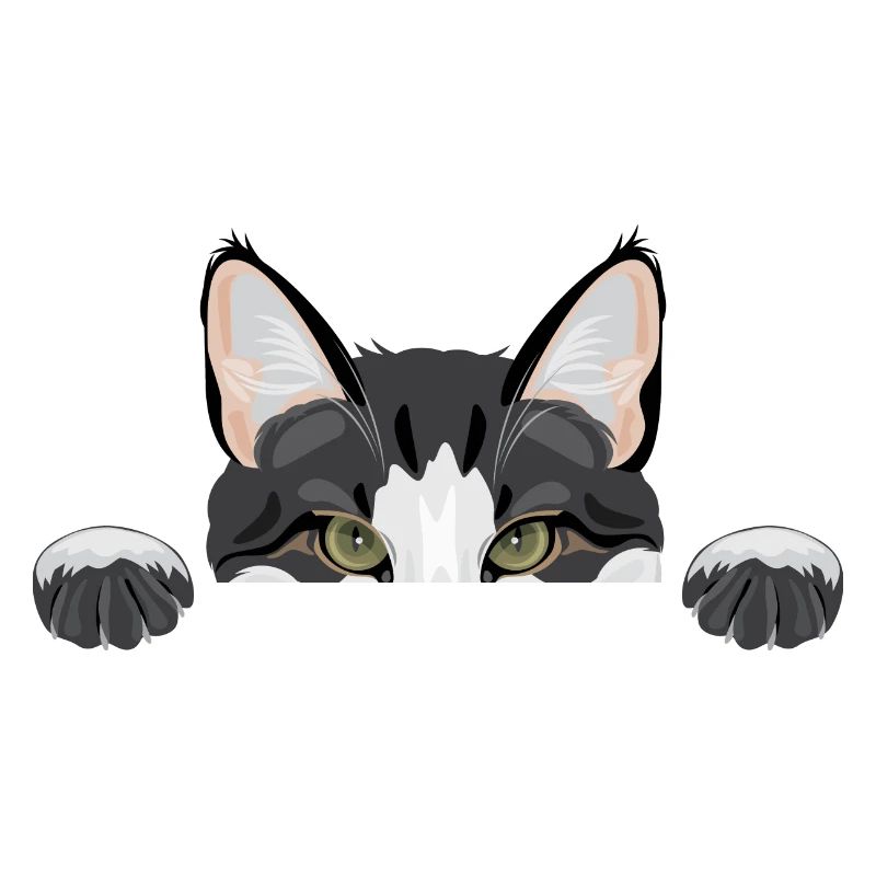 drôle de chat