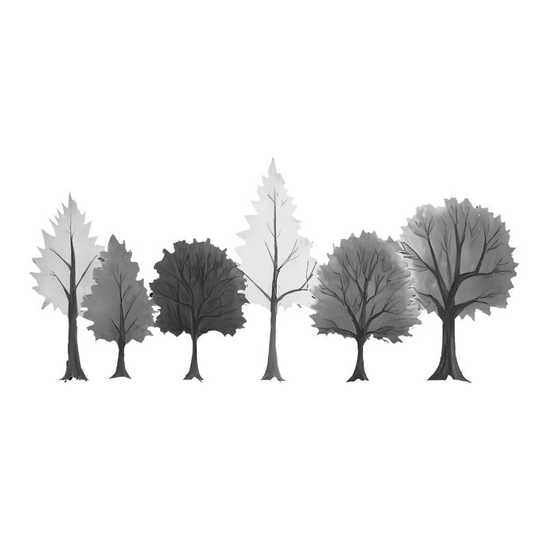 Forest Trees Black & White