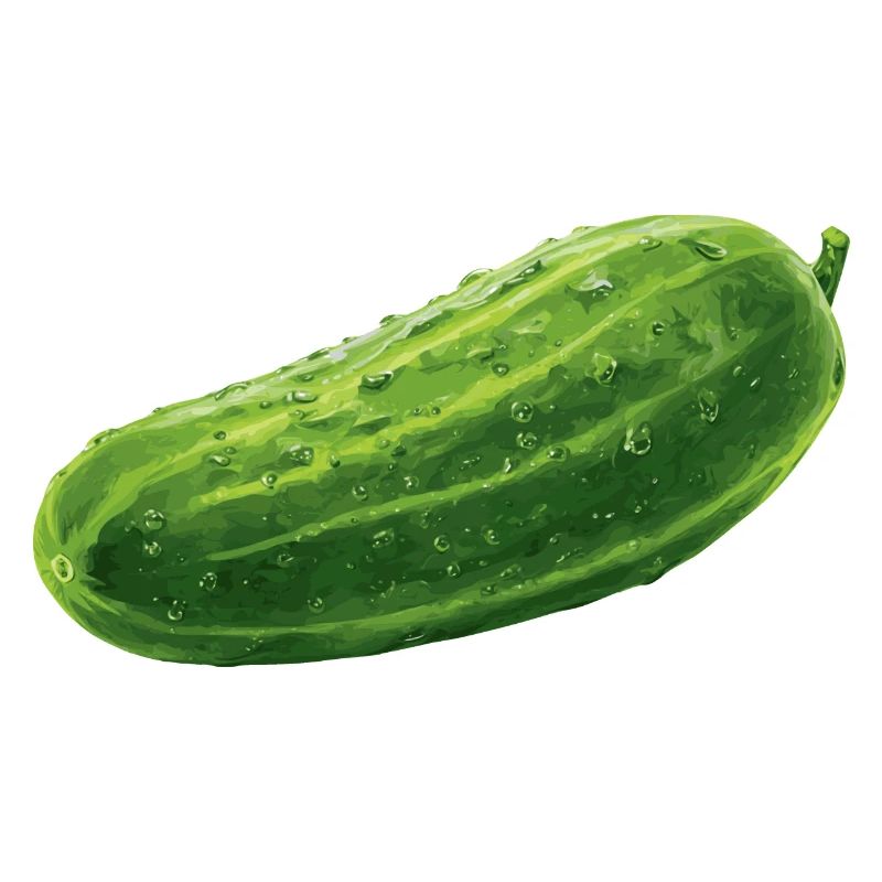 Concombre