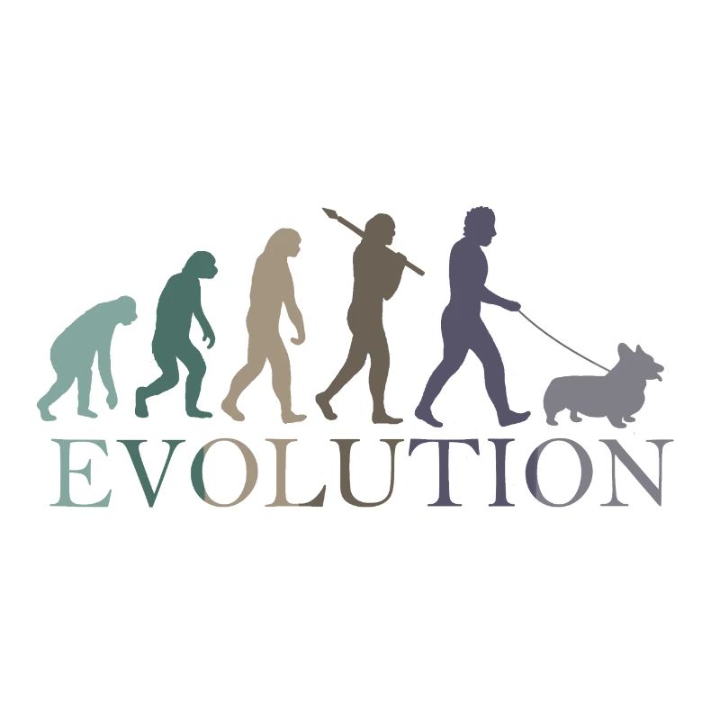 L’ÉVOLUTION DE LA CORGA