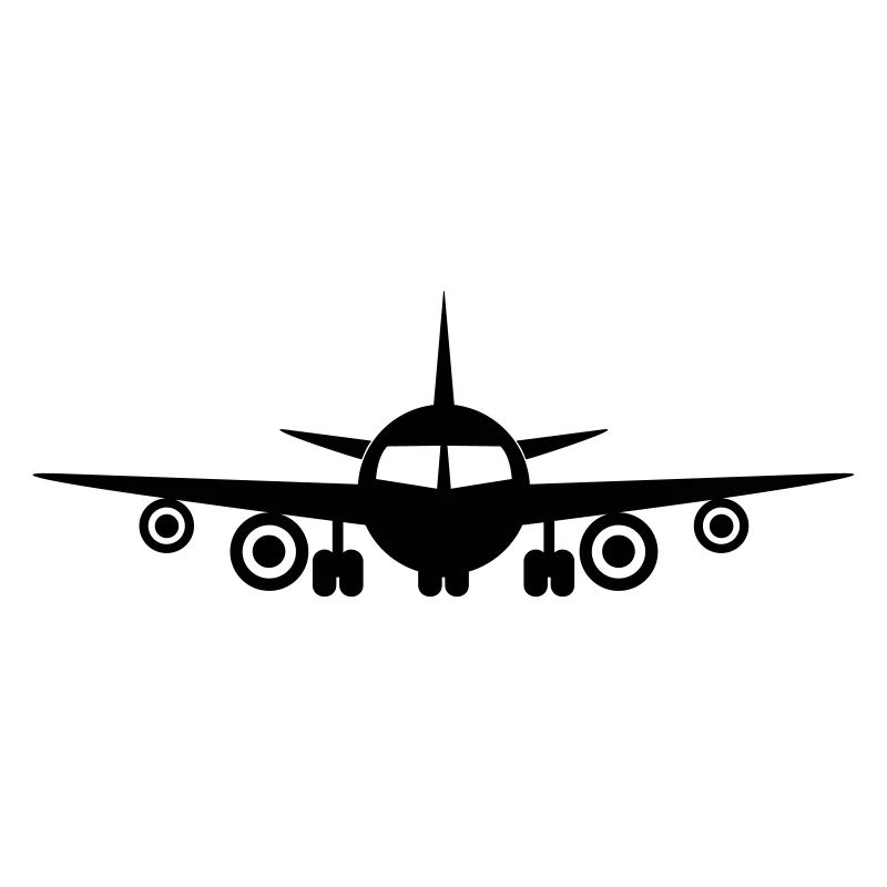 Fly a plane