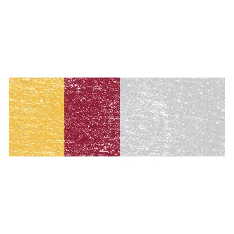 Drapeau des Roms