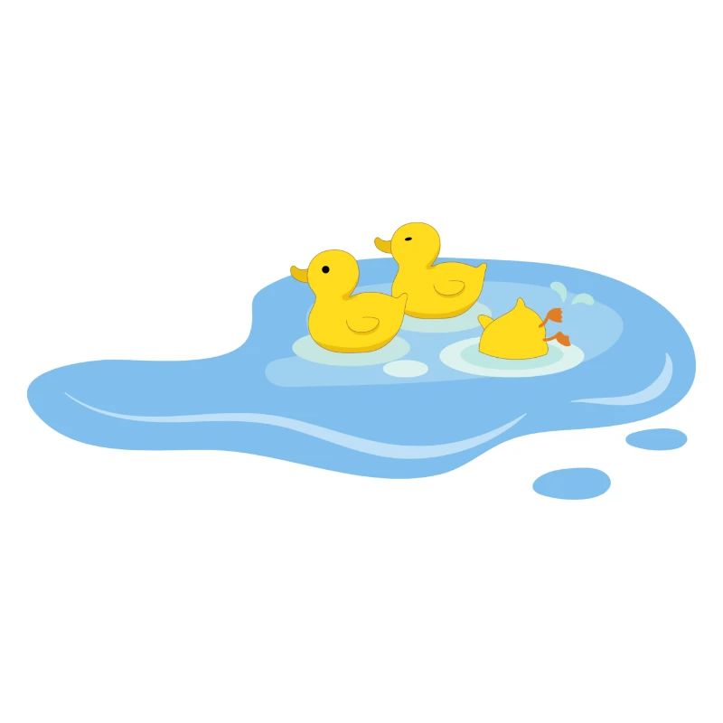 Canards dans une mare