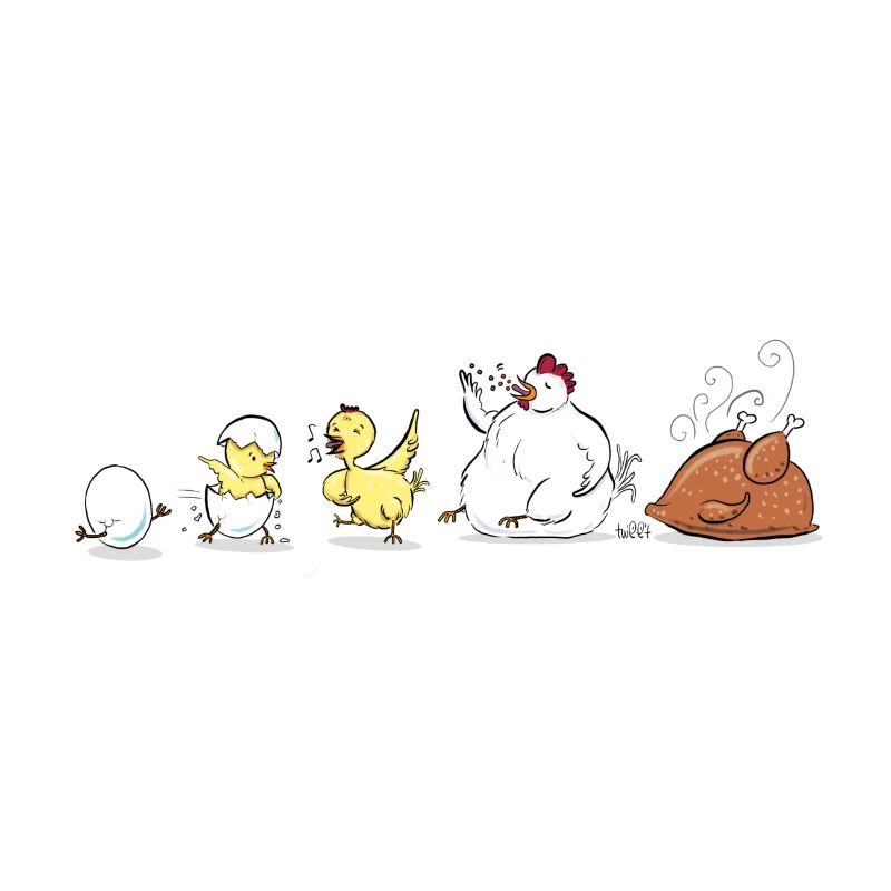 Évolution du poulet