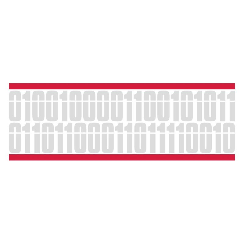 Binary Code Program Language