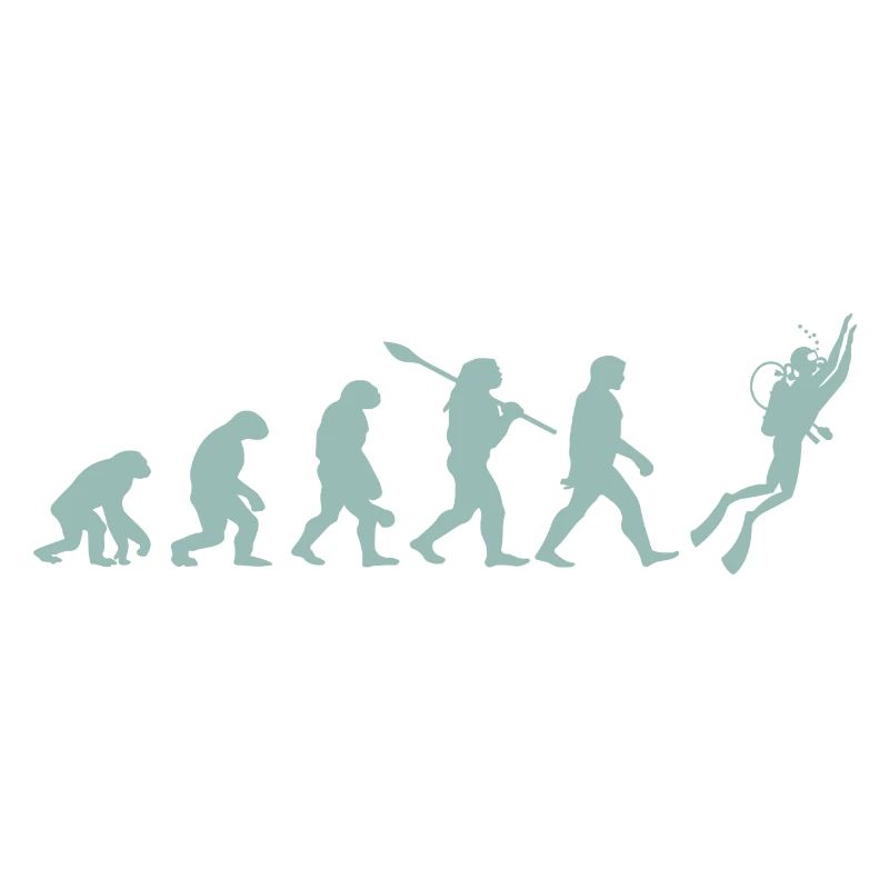 Evolution plongée