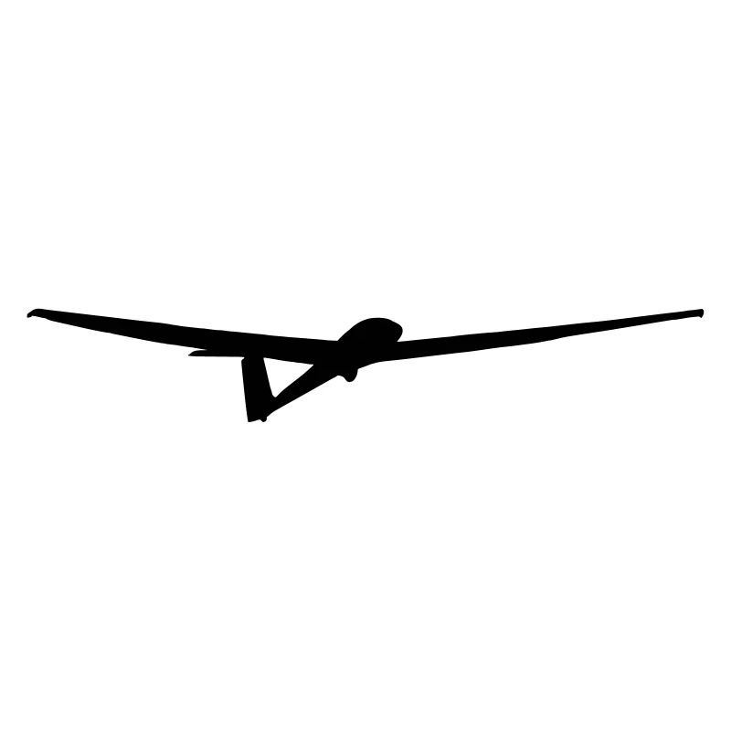 Glider Glider Glider Pilot Pilot