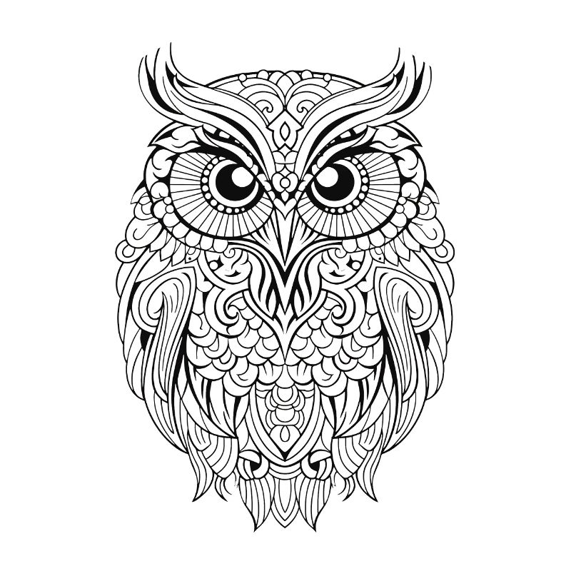 Mythical Magical Boho Owl with Patterns