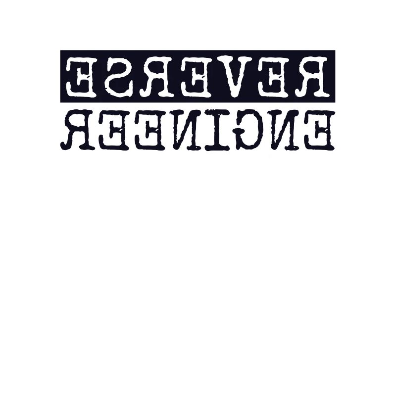 Reverse Engineer Softwareingenieur Developer