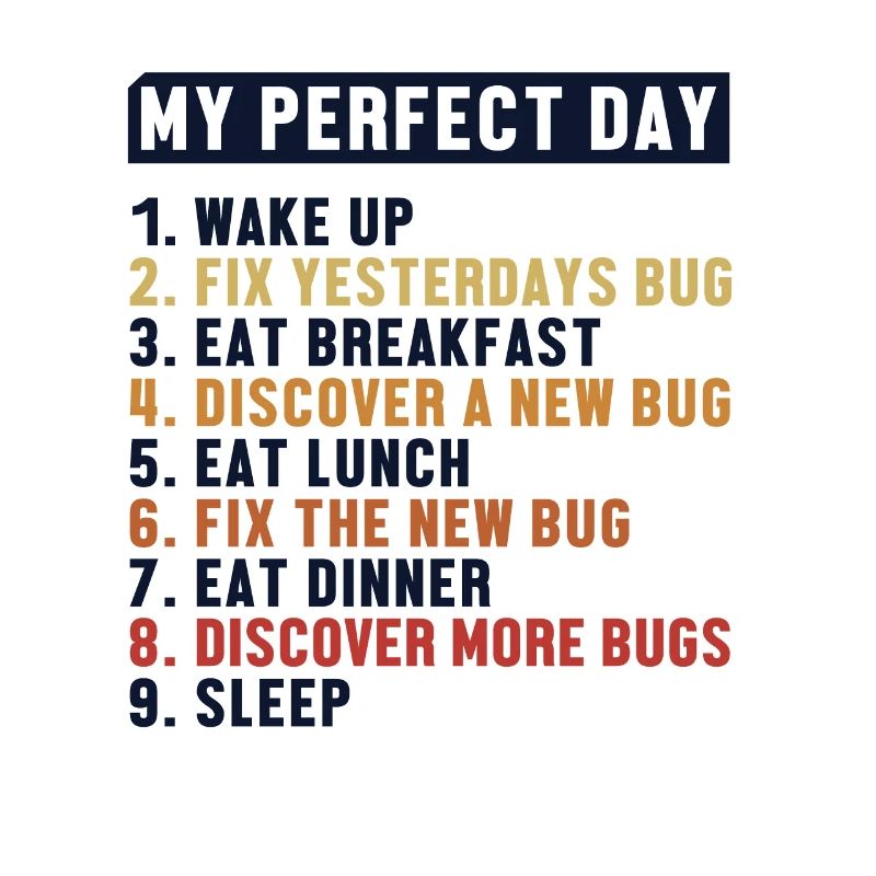 Fix Bugs Perfect Day Developer Coder Programmierer