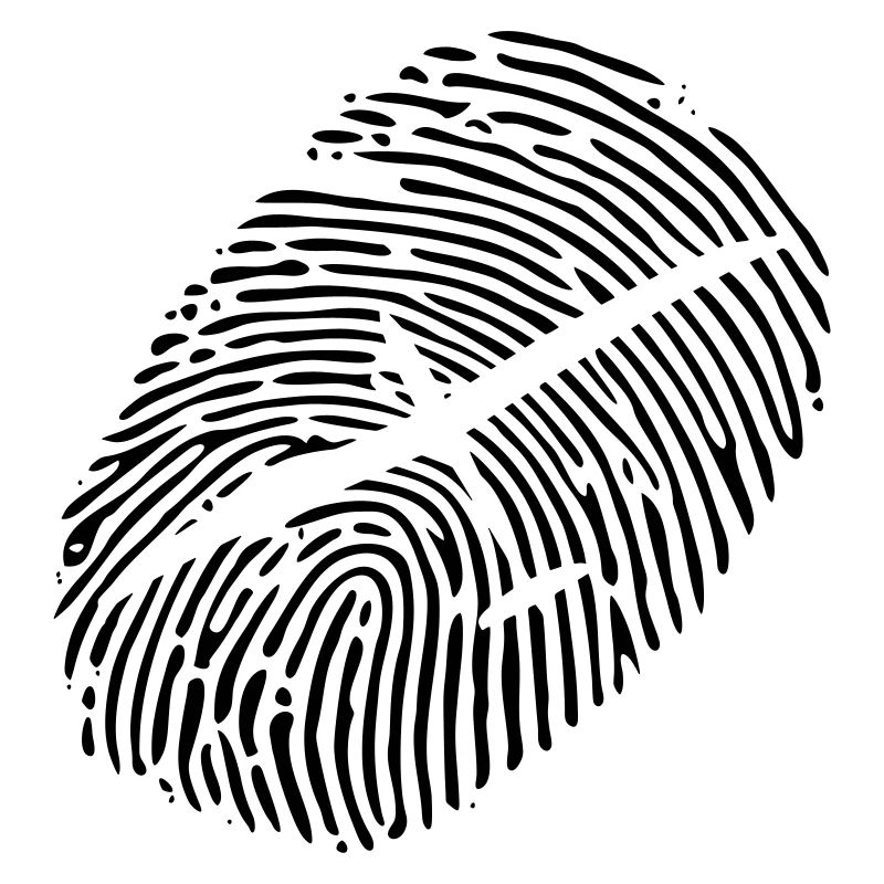 Glider Gliding Glider Glider Pilot Pilot