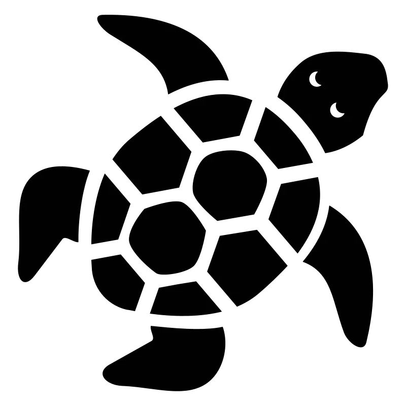 turtle turtle