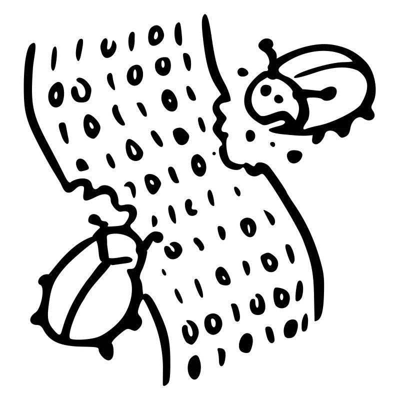 code bugs software