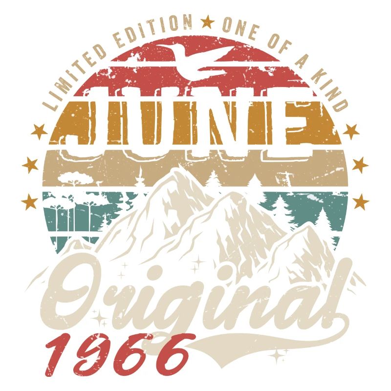 Juni 1966 Geburtstag Juni 1966 Geschenk Juni 1966