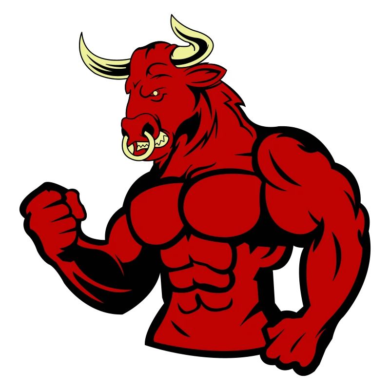 bull