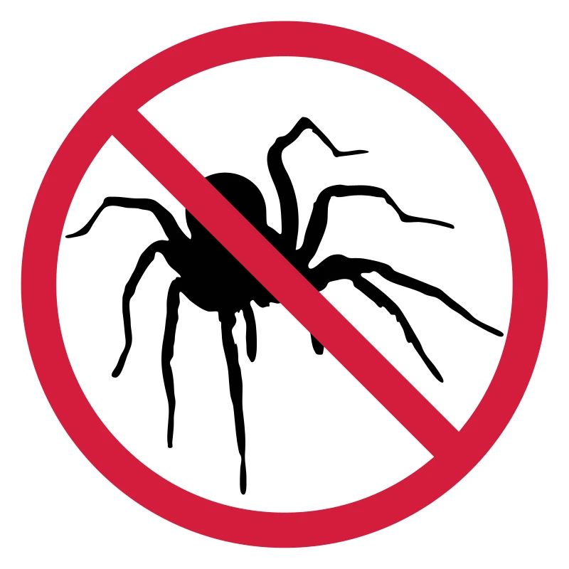 aucune araignée interdit bouclier conception araignée cl