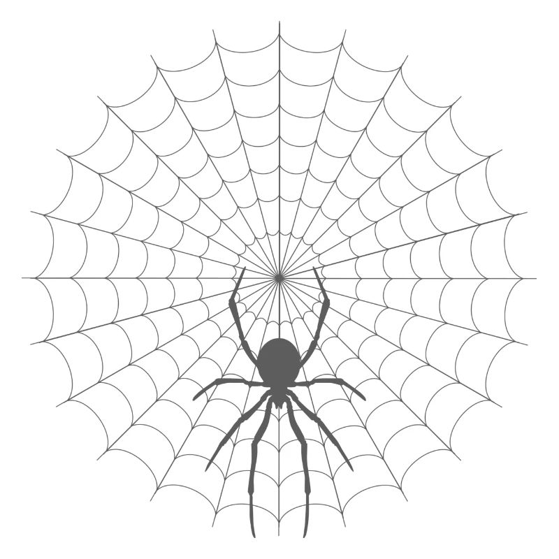 Spider Web Silhouette
