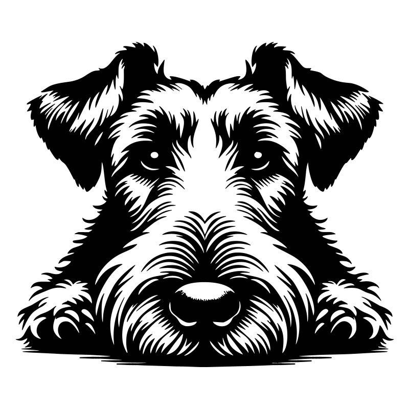 Irish Terrier Head with Paws