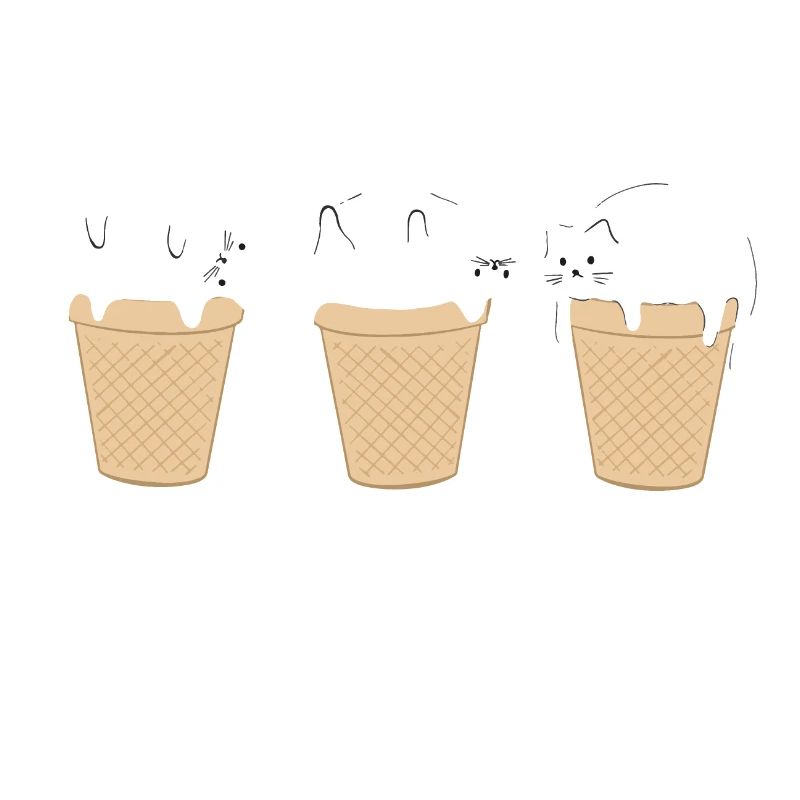 Glace Glacée Chat Drôle de Chat Bébé Glace